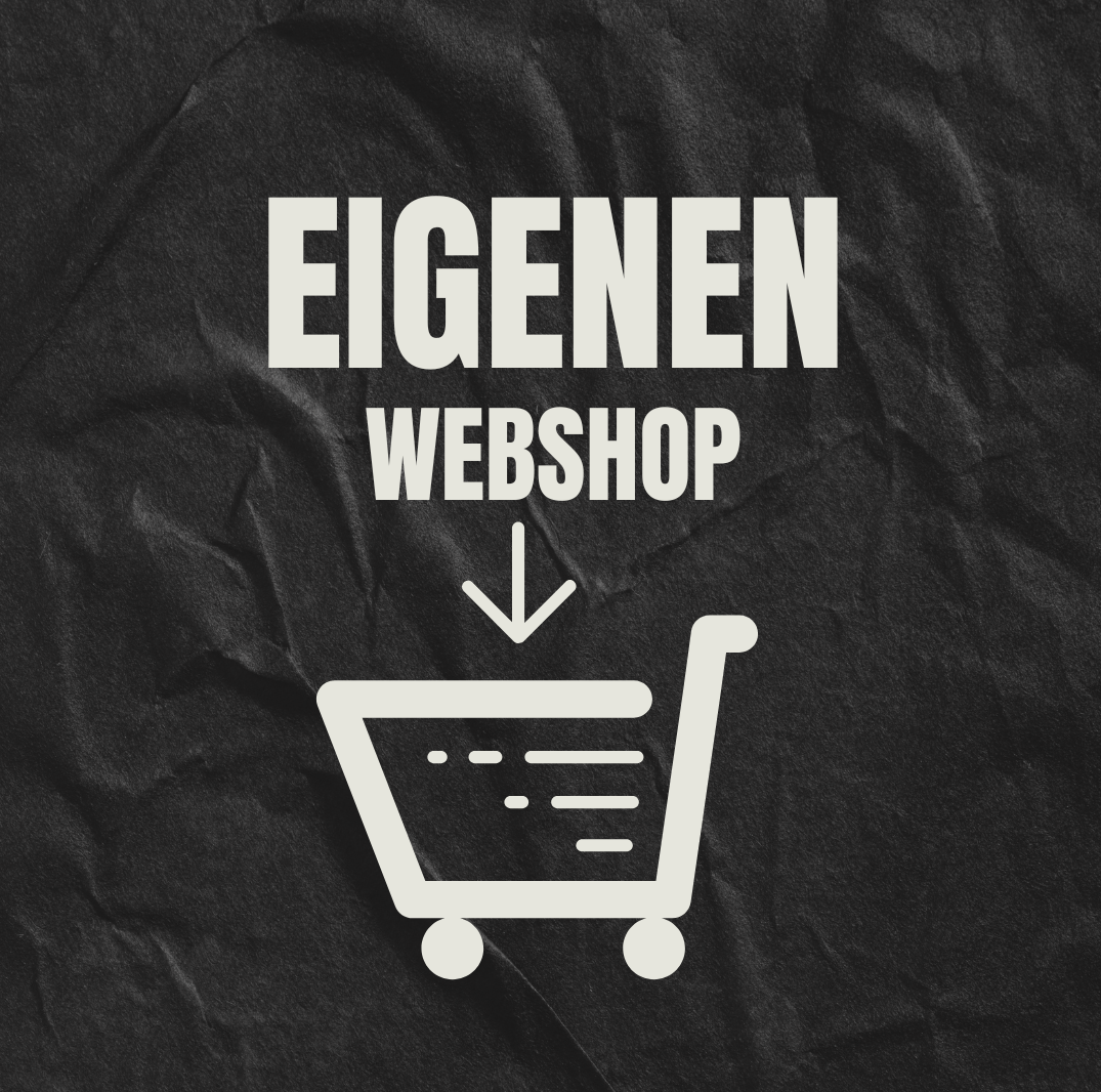 Professionellen Webshop erstellen lassen vom Experten
